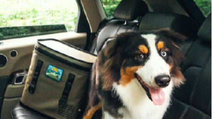 The Ultimate Guide to Powering Your Camping Refrigerator: From Problem to Solution